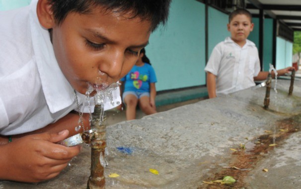 Se Bebe Agua Contaminada En De Escuelas Seg N Estudio