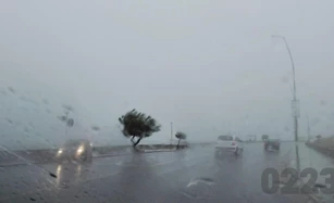 En menos de media hora cayeron 10 milímetros de lluvia en Mar del Plata: ¿cómo sigue el clima?