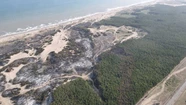 Incendio forestal en Miramar: “Fue un fuego de una magnitud nunca vista en esta zona”