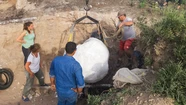 Paleontólogos del Scaglia rescataron restos de un gliptodonte de 20.000 años