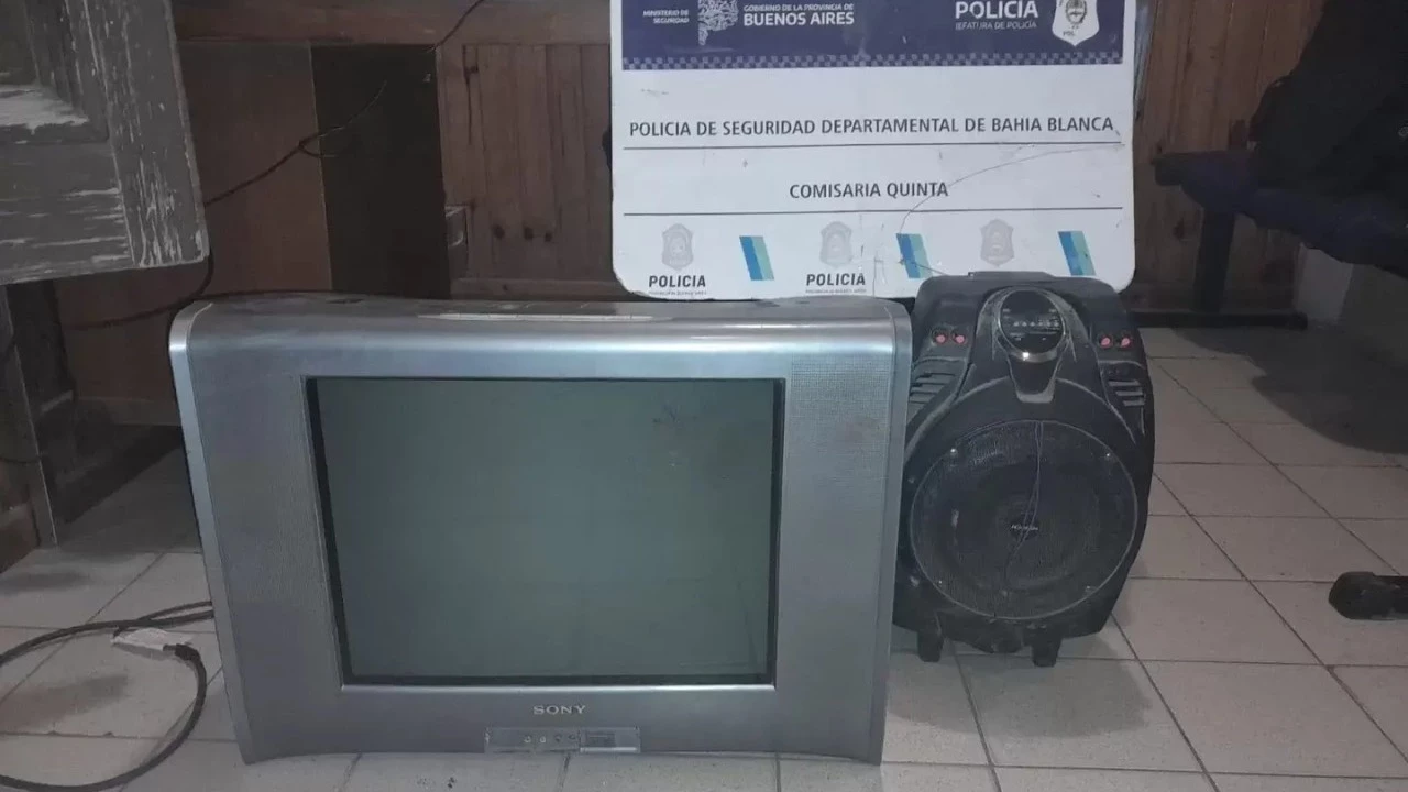 Los ladrones intentaron robar un televisor, un parlante y una garrafa sin que el dueño de la casa se diera cuenta.