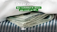 Dólares bajo el colchón, una tradición argentina 