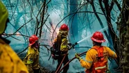 Alertan por "riesgo muy alto" de incendios forestales para este fin de semana