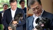 El presidente Yoon, quien es un gran amante de las mascotas, impulsó la ley que prohíbe consumir perros