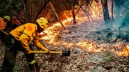 Alertan por riesgo de incendios forestales para este fin de semana