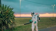 Ola de mosquitos en Mar del Plata: desinfectan espacios públicos