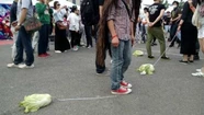 Jóvenes veganos chinos impulsan el paseo de lechugas con correa