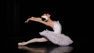 El Ballet Nacional de Rusia llega a Mar del Plata con "El lago de los cisnes"