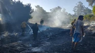 Bomberos del vivero de Miramar evitan un nuevo incendio forestal