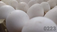 Los huevos, por las nubes: subieron un 25% y el maple cuesta hasta $4700. Foto: 0223.