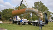 Instalan en Tandil una gigantesca réplica de un dinosaurio