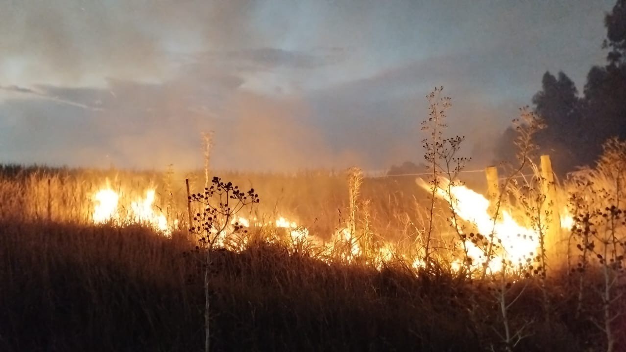 Incendio En El Ingreso A Mar Del Plata Por La Ruta 2: Treinta Hectáreas ...