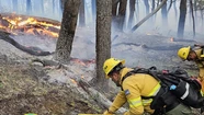 Con presencia marplatense, Bomberos trabajan en el incendio del Parque Nacional de Chubut
