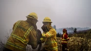 Incendios forestales en Chile: suben a 64 los fallecidos y prevén más muertos