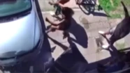 Video: discutió con un peluquero, embistió el frente del local con su auto y atropelló a un cliente