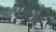 El conductor de la camioneta le tiró encima el vehículo a los carreros y el caballo terminó en el piso