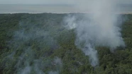 Incendio forestal en Cariló: logran controlar varios focos ígneos