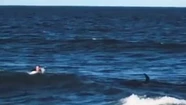 Video: una orca "corrió" a un surfista en Mar del Plata