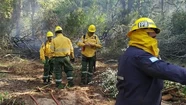 Incendio forestal en Cariló: bomberos pusieron fin al riesgo de que se reactive el fuego