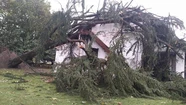 Parte de un museo de Chascomús quedó destruido por la caída de un árbol