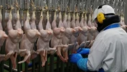 Productores avícolas expresaron su preocupación por el cierre de las exportaciones.
