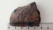 Gran hallazgo: descubren en Neuquén una estrella que vivió en el mar hace 193 millones de años