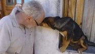 Tenía un refugio de perros pero lo internaron en un geriátrico y ahora buscan adoptantes para sus mascotas