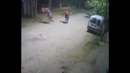 Video: cuatro ladrones le dispararon para robarle el auto y su perrito le salvó la vida