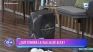 Video: Alfa metió la pata en vivo y reveló la sorpresa que dejó dentro de la valija