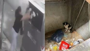 La mujer fue escrachada cuando tiraba a su perrita en un contenedor de basura. 