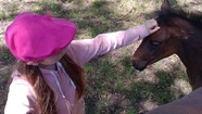 Denuncian el robo de nueve caballos en diez días: buscan a una yegua que realizaba actividades con chicos en una ONG