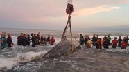 Siguen los esfuerzos para salvar a la ballena que quedó varada en Punta Mogotes