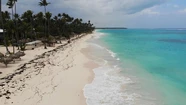 Punta Cana, la perla del Caribe, sin turismo: "Nadie estaba preparado, se vienen 7 meses complicados"