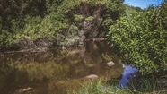 Grave: revelan estudios que confirman la presencia de "caca" en arroyo marplatense