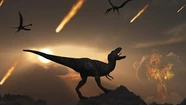 Increíble hallazgo: encontraron un fósil vinculado al asteroide que causó la extinción de los dinosaurios