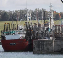 Conflicto en el Puerto: Somu fue notificado de la conciliación obligatoria