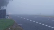 Atención automovilistas: rige un alerta violeta por niebla para Mar del Plata 