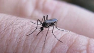 La Provincia entrega repelente gratuito en los municipios más afectados por el dengue