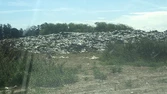 Calamitosa situación en Miramar con la basura: un video muestra el caos en el predio de residuos