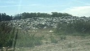 Calamitosa situación en Miramar con la basura: un video muestra el caos en el predio de residuos