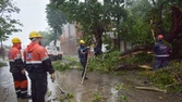 Alerta meteorológico: la Municipalidad ya recibió 30 llamados por diversos daños 