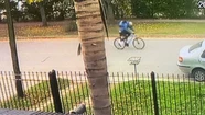 Video: le robaron la bici y pide ayuda para encontrarla
