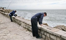  Cuáles son las obras que se realizan en el frente costero de Mar del Plata