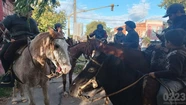 Dueños de caballos se movilizaron al Municipio en pedido de más acciones de prevención. Foto: 0223.