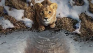 "Mufasa: el Rey León" ya tiene fecha de estreno