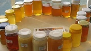 Productores de miel de Tandil y Chascomús, entre los mejores del territorio bonaerense