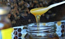 Se viene en Tandil una nueva semana dedicada a la miel