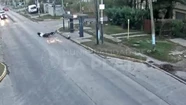 Video: atropelló a un perro, salió despedido de la moto sin casco y se salvó de milagro