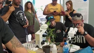 Se realiza el primer encuentro del Ciclo Costa Cannabis