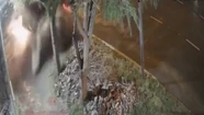 Video: se robaron un auto, volcaron y chocaron violentamente contra un árbol cuando escapaban